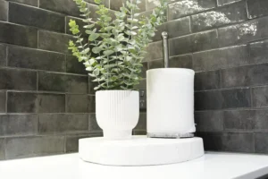 Styled kitchen bench detail at Greenbank Oasis SafeStayz accommodation in Brisbane southside, featuring potted eucalyptus, paper towel holder and dark subway tile splashback