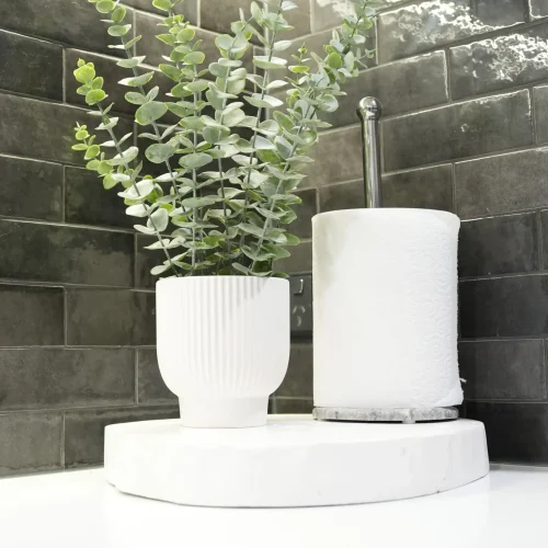 Styled kitchen bench detail at Greenbank Oasis SafeStayz accommodation in Brisbane southside, featuring potted eucalyptus, paper towel holder and dark subway tile splashback